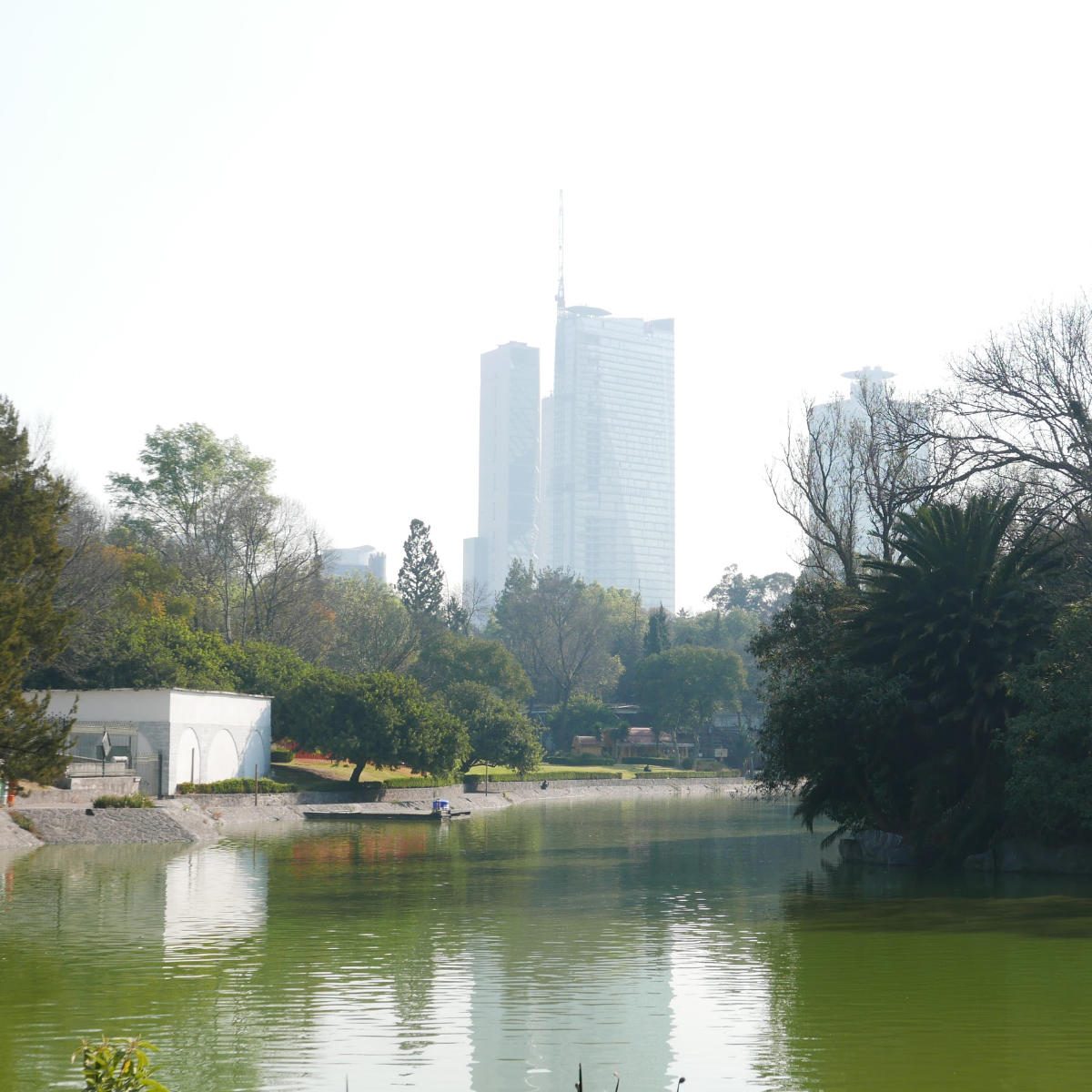 Pond in Chapultepec park in Mexico City