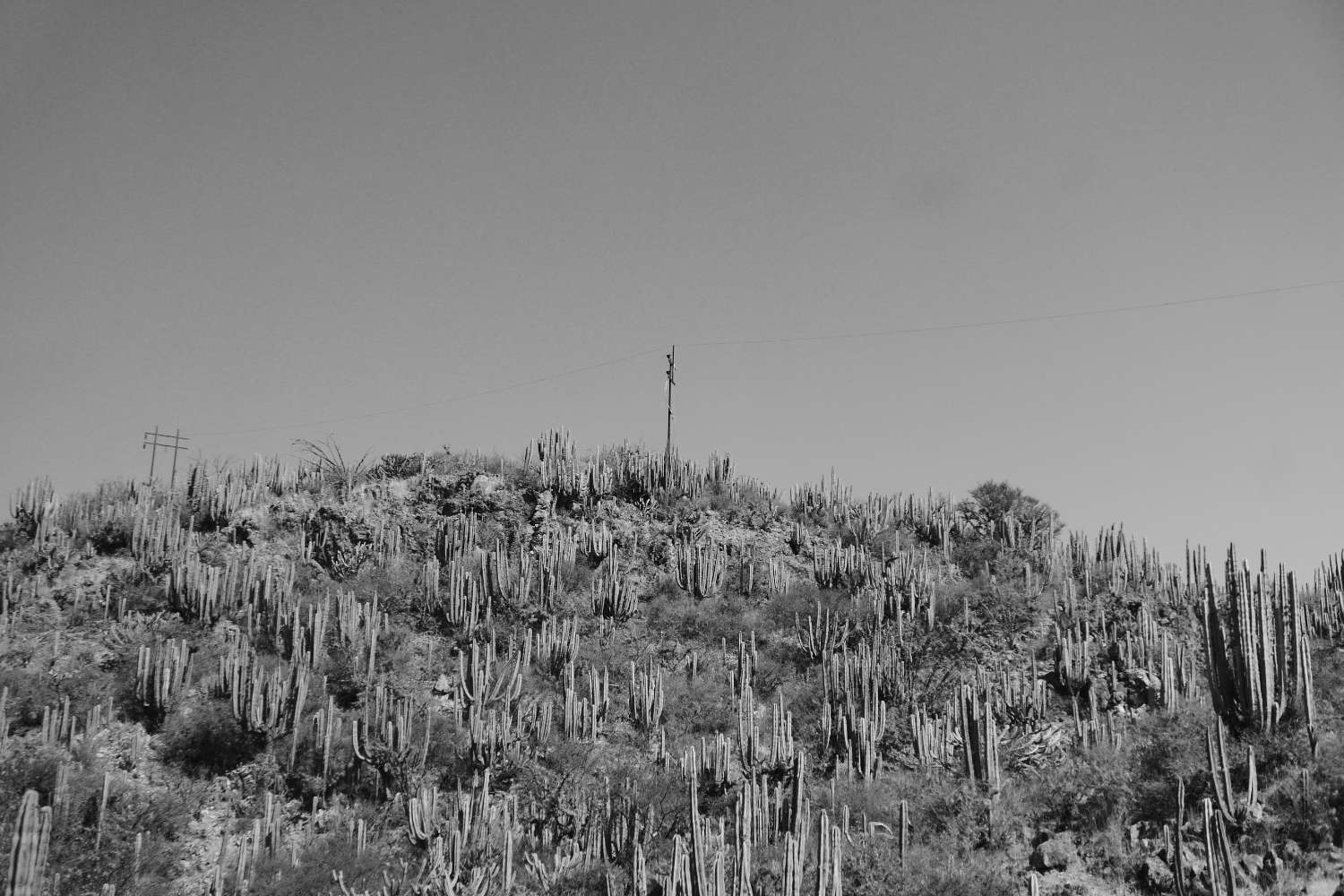 Desert landscape between Mexico City and Xilitla