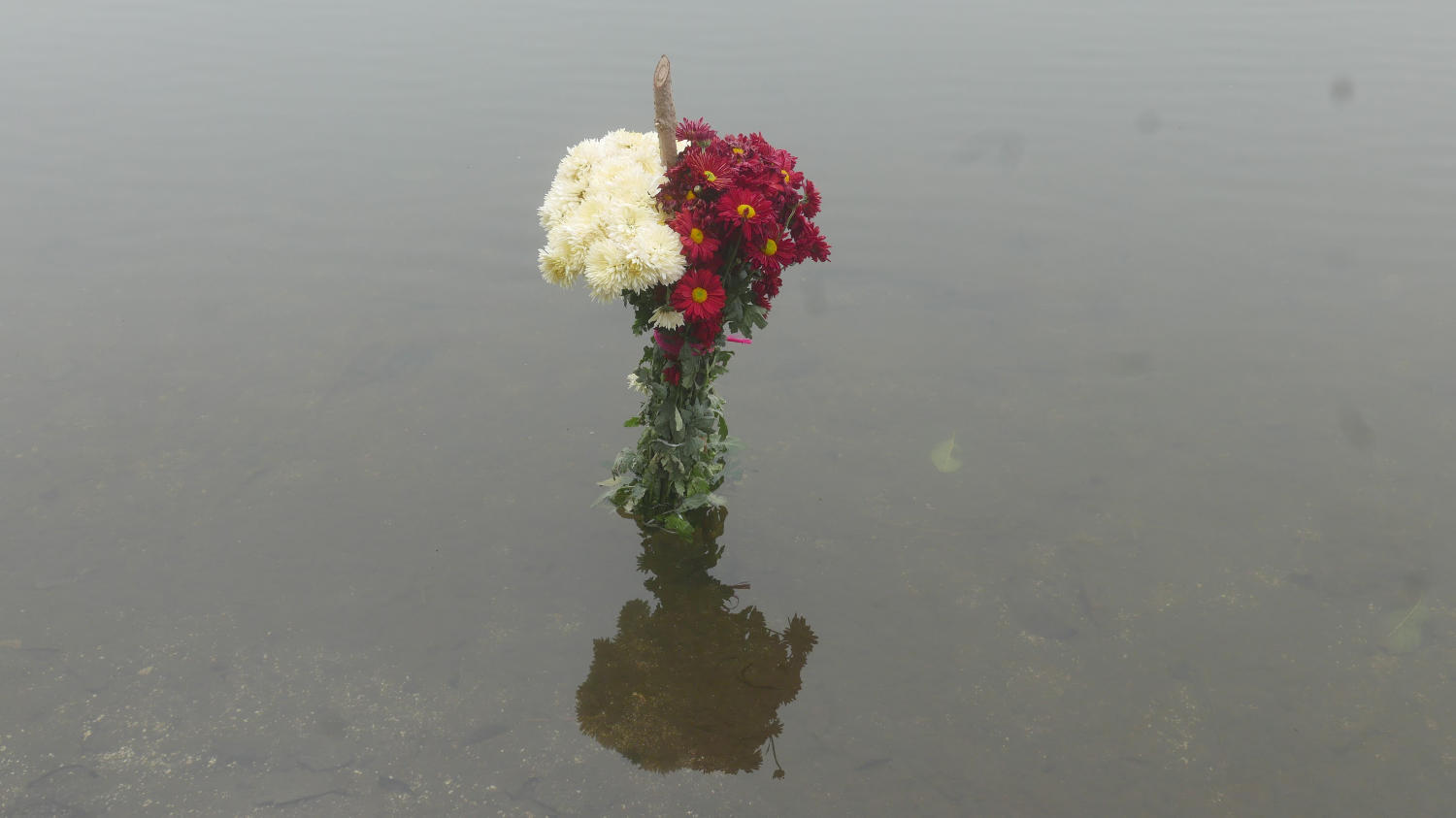 Flower sacrifice in Lake Chicabal
