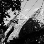 Hay roof (palapa) in main street in El Tunco village, El Salvador