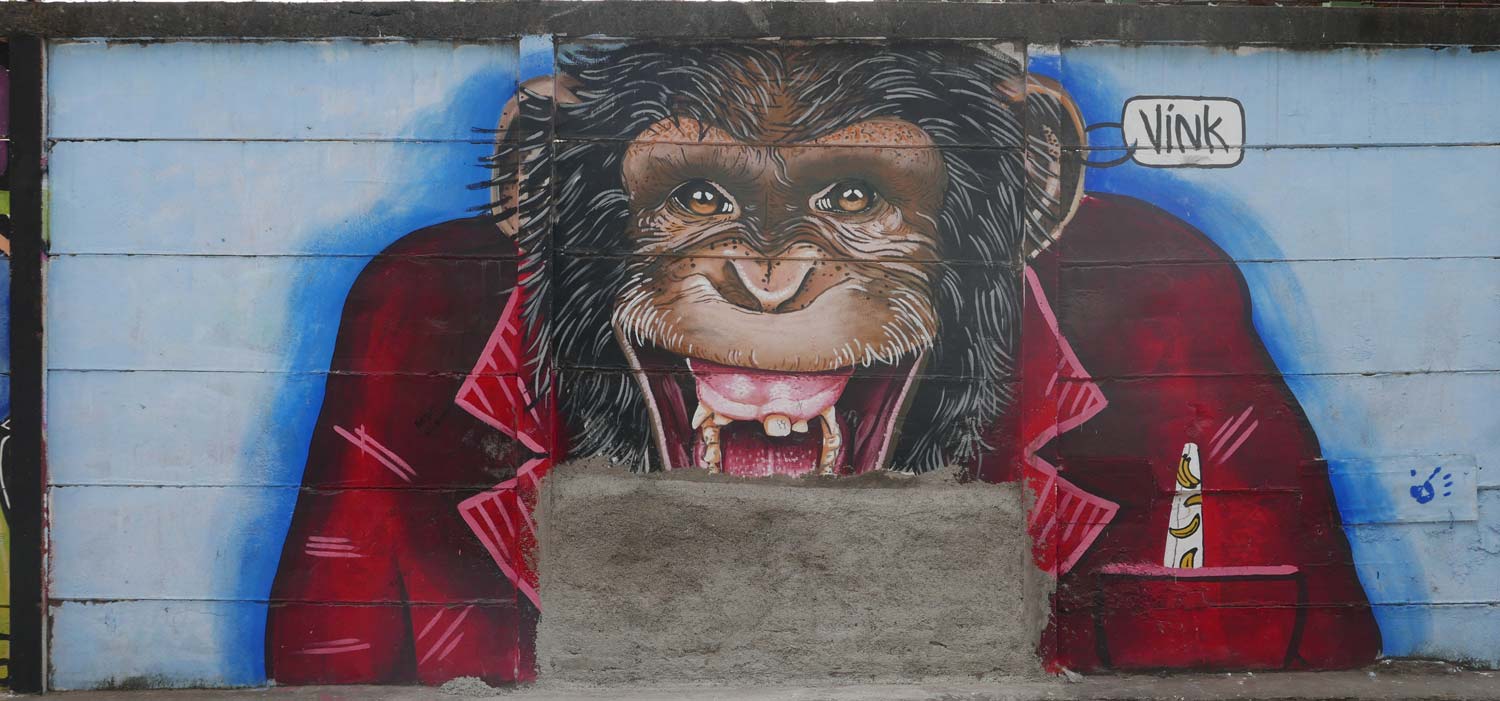Monkey graffiti in Esteli, Nicaragua