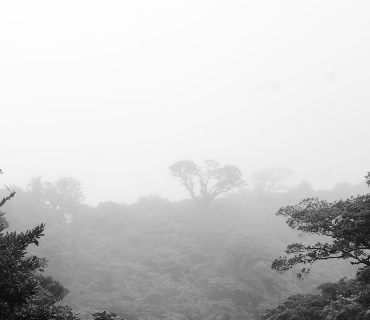 Dreamscape on Cerro Amigos in the Monteverde region