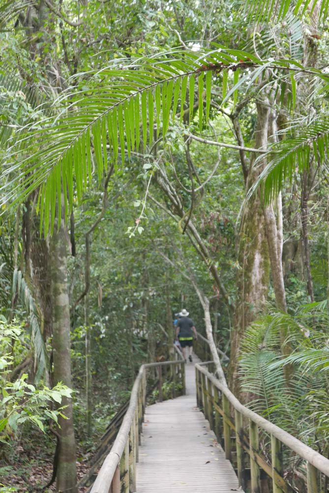 Main walkway near entrance of Manuel Antonio national park