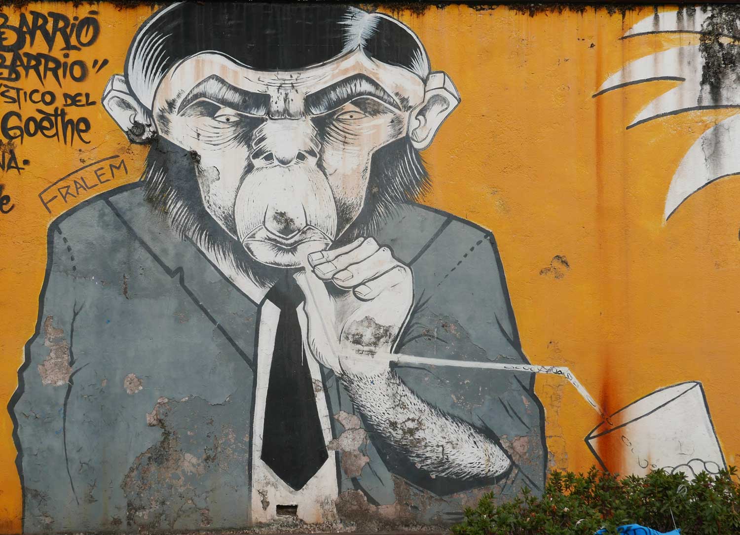 Professor Monkey. Street art in San Jose, Costa Rica