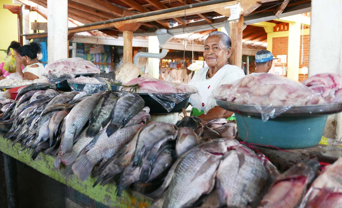 Fish stand in the Mercado Municipal in Granada, Nicaragua