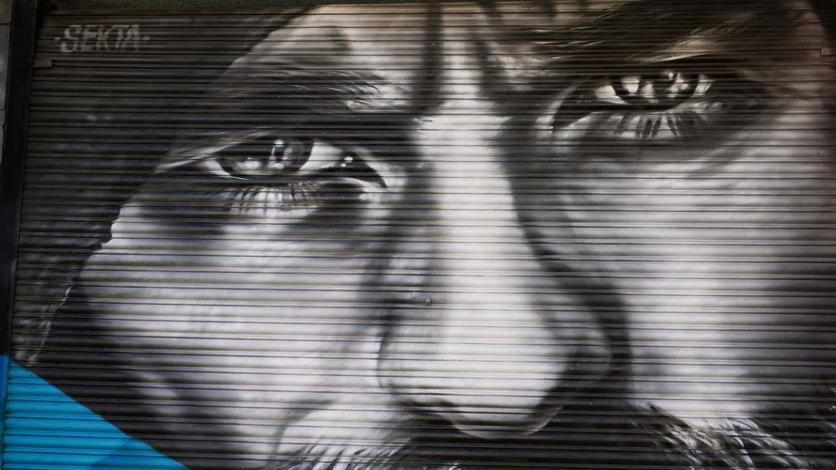 Street art on a garage door in Guadalajara