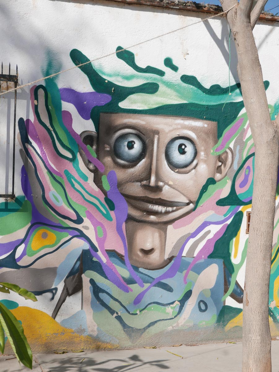 Street art in the Xochimilco district of Oaxaca city