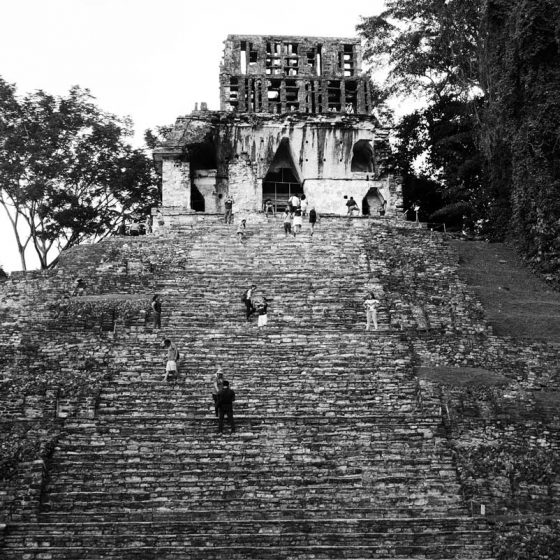 Stairs to one of the Temples of The Cross in Palenque