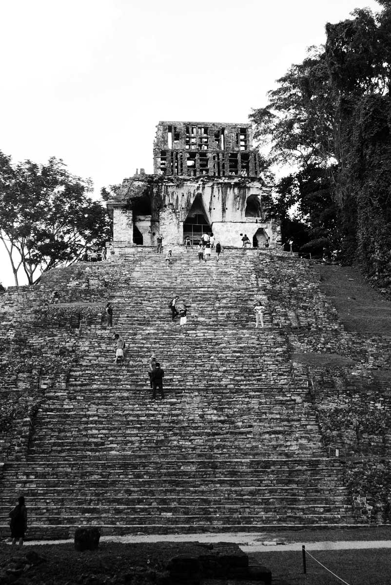 Stairs to one of the Temples of The Cross in Palenque