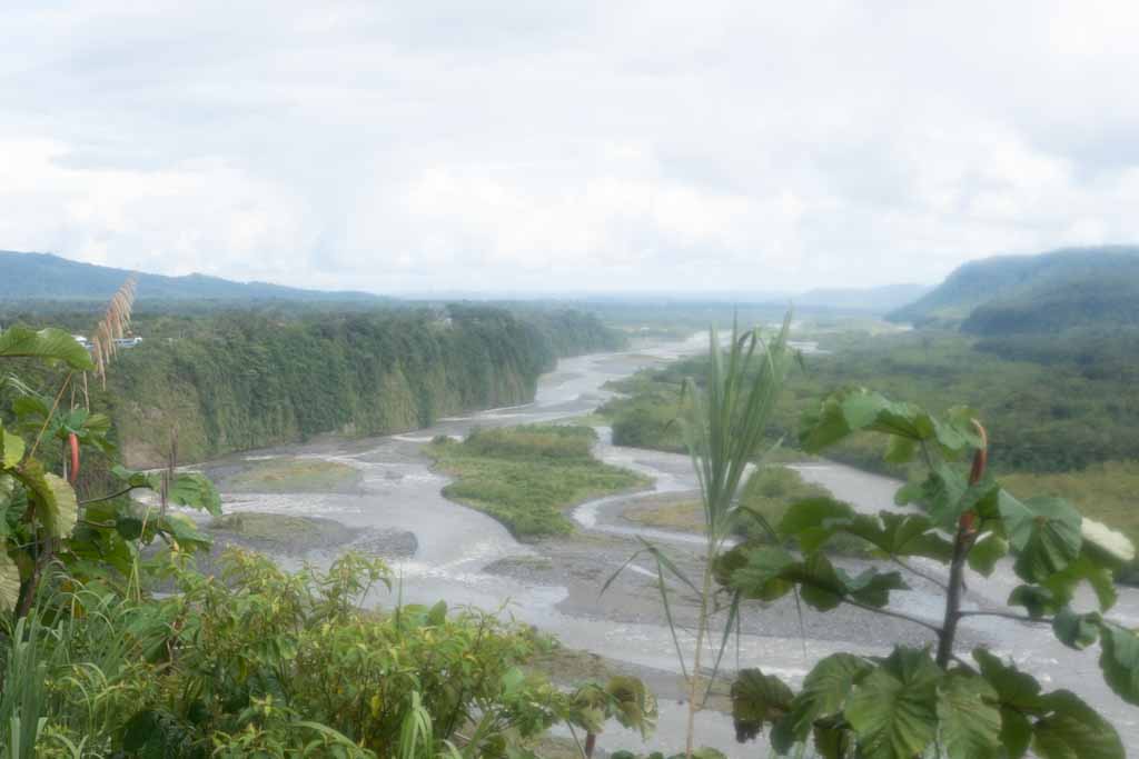 Amazon basin near Mera