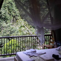 Bedroom in the Rio Claro jungle