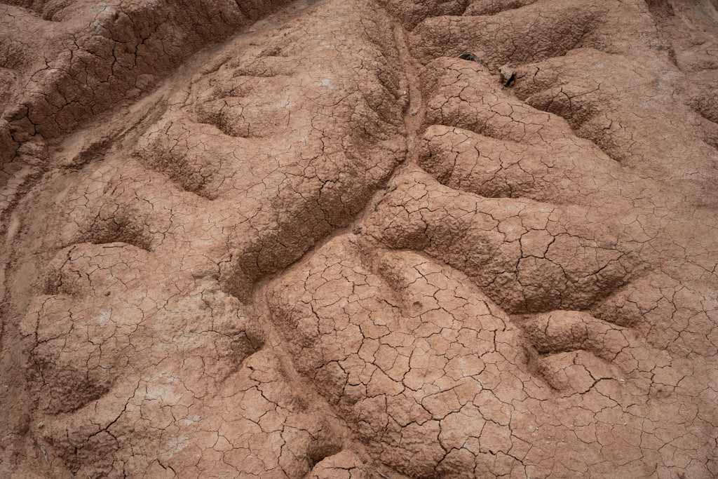 Cracked earth in Desierto Tatacoa