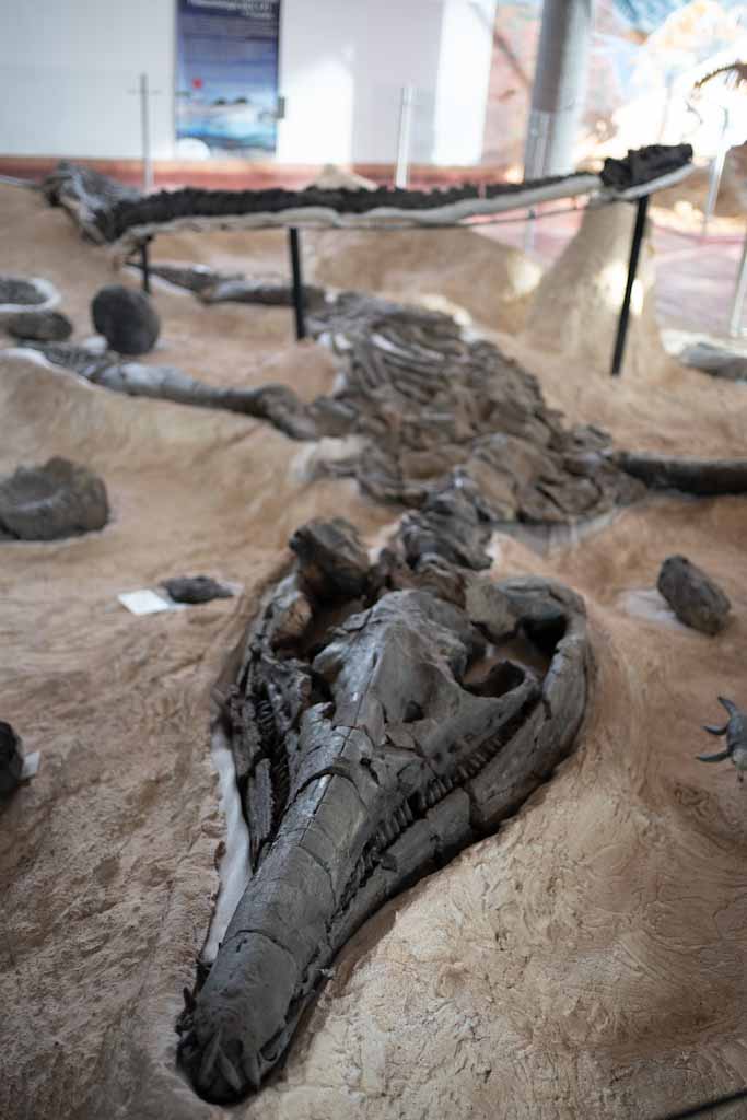 Paleontology center in Villa de Leyva
